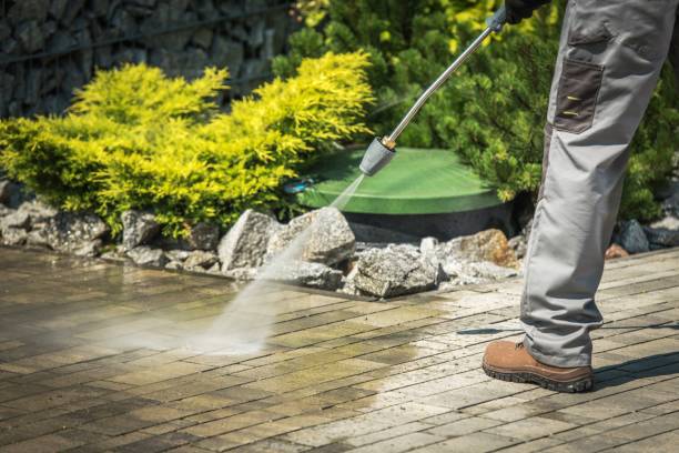 Trusted Oreana, IL Pressure Washing Services Experts